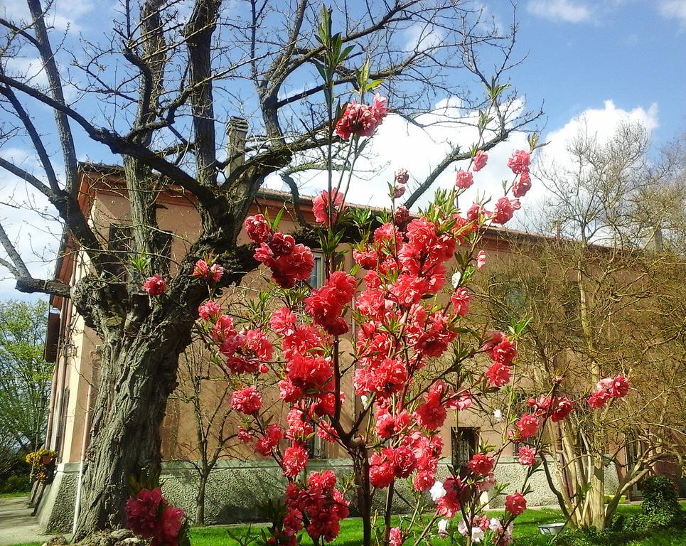 Ca Morari Bed & Breakfast Argenta Bagian luar foto