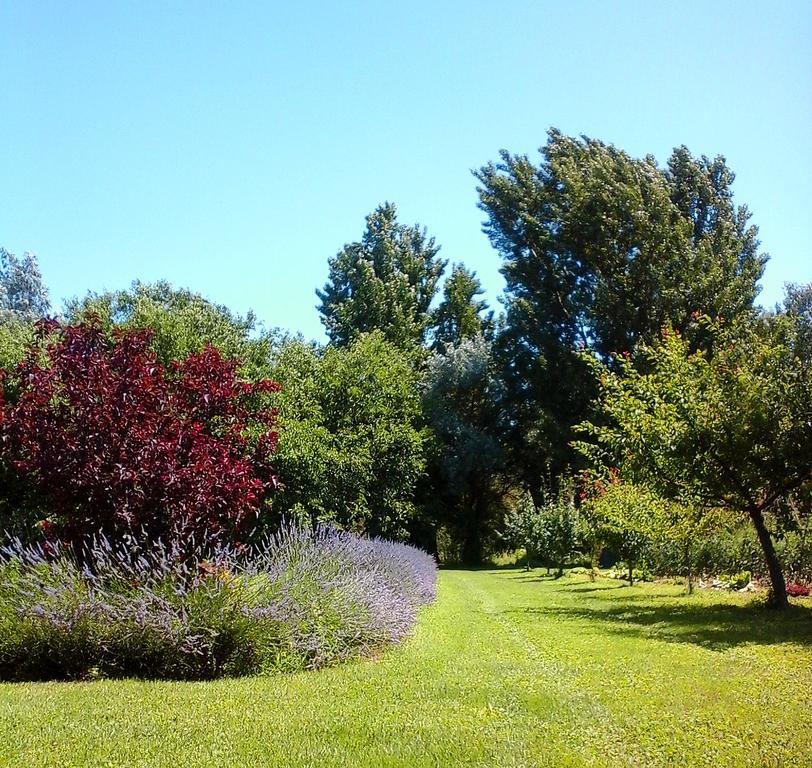 Ca Morari Bed & Breakfast Argenta Bagian luar foto