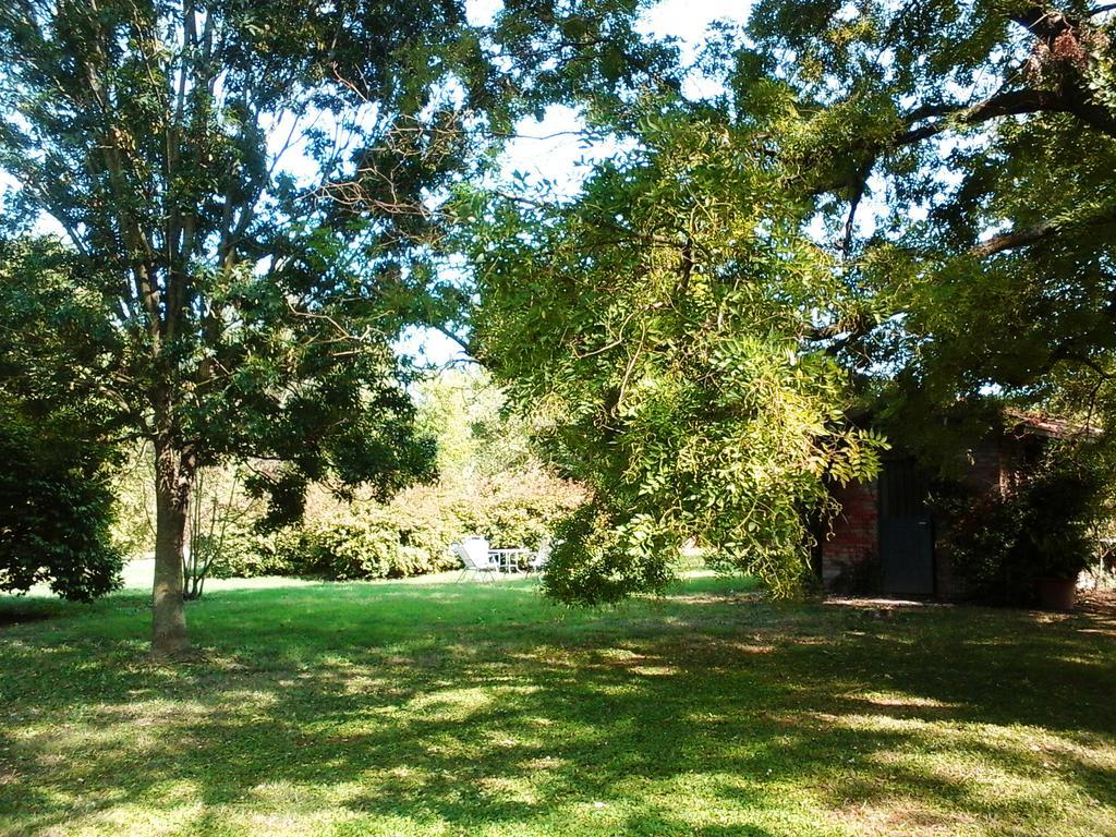 Ca Morari Bed & Breakfast Argenta Bagian luar foto