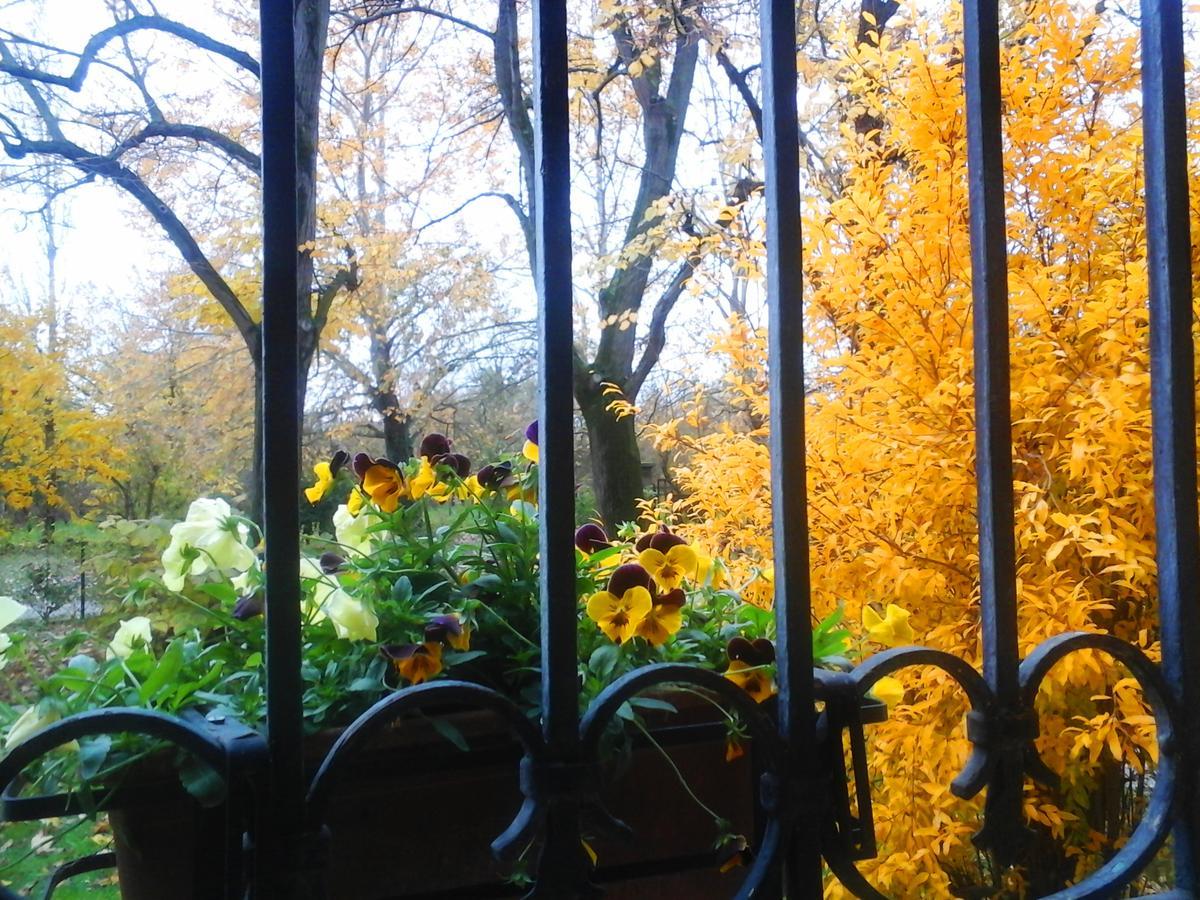 Ca Morari Bed & Breakfast Argenta Bagian luar foto