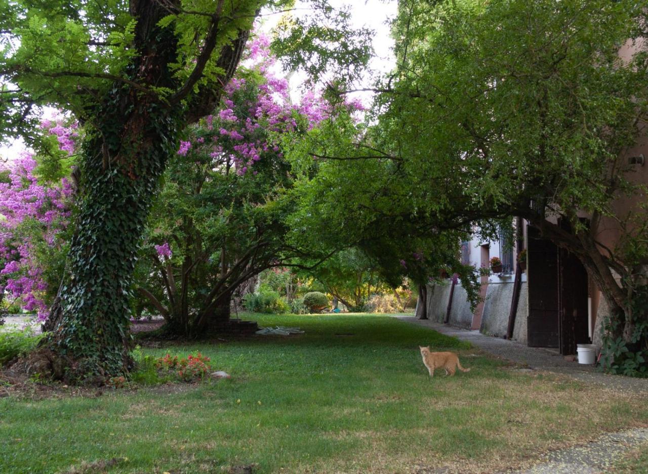 Ca Morari Bed & Breakfast Argenta Bagian luar foto