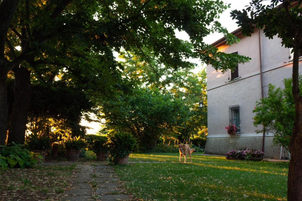 Ca Morari Bed & Breakfast Argenta Bagian luar foto